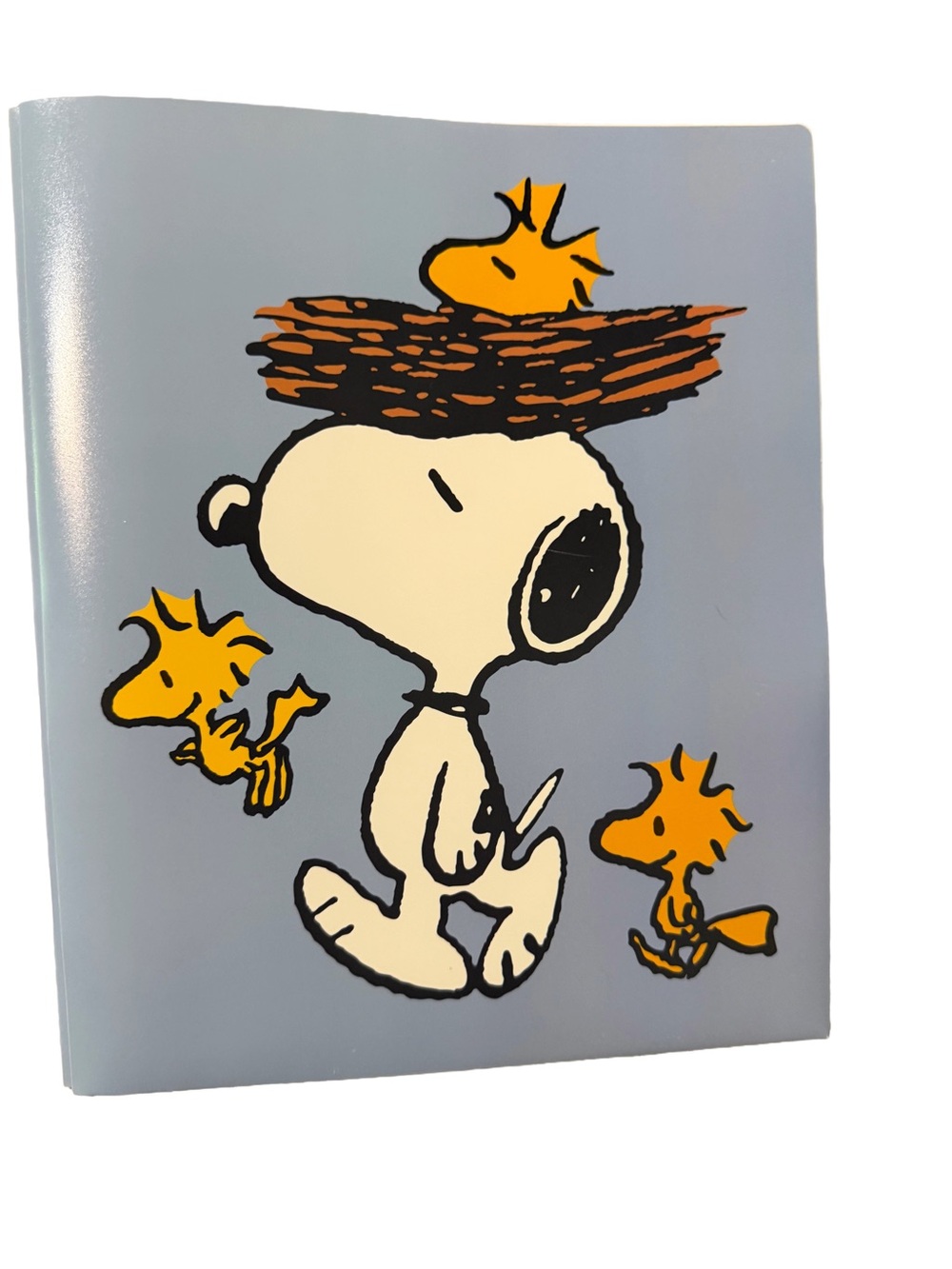 Peanuts Notebook Bundle - Picture 3 of 5